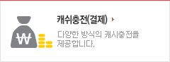 캐쉬충전